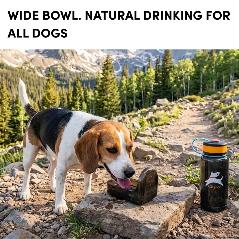 OllyDog OllyBottle Tritan Water Bottle with Detachable Dog Bowl | BPA Free Leakproof | 20oz | Share Water with Your Dog | Hiking Travel Camping (600ML, Chromatic) - color: Chromatic, size: 600ML