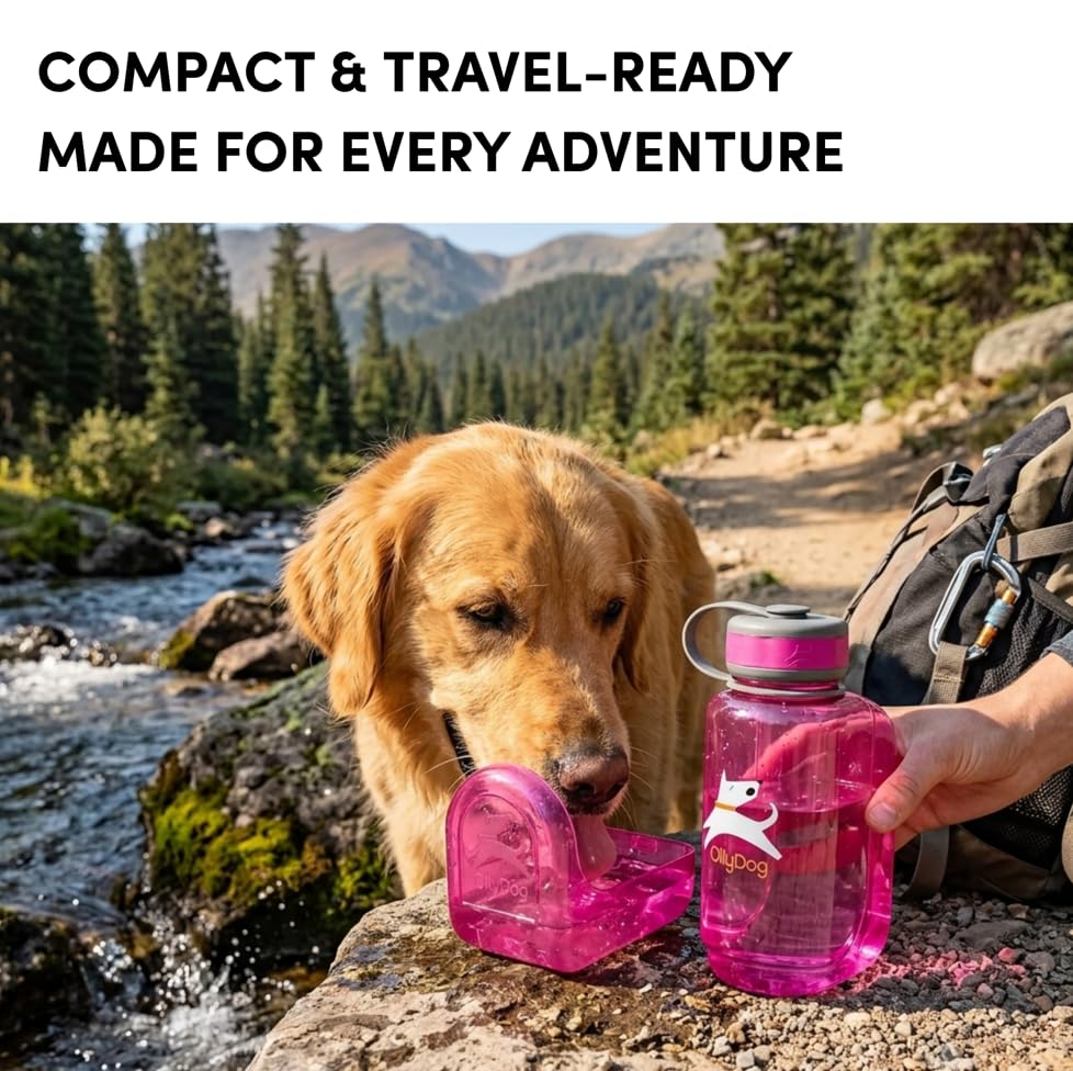 OllyDog OllyBottle Tritan Water Bottle with Detachable Dog Bowl | BPA Free Leakproof | 20oz | Share Water with Your Dog | Hiking Travel Camping (600ML, Hot Pink) - color: Hot Pink, size: 600ML
