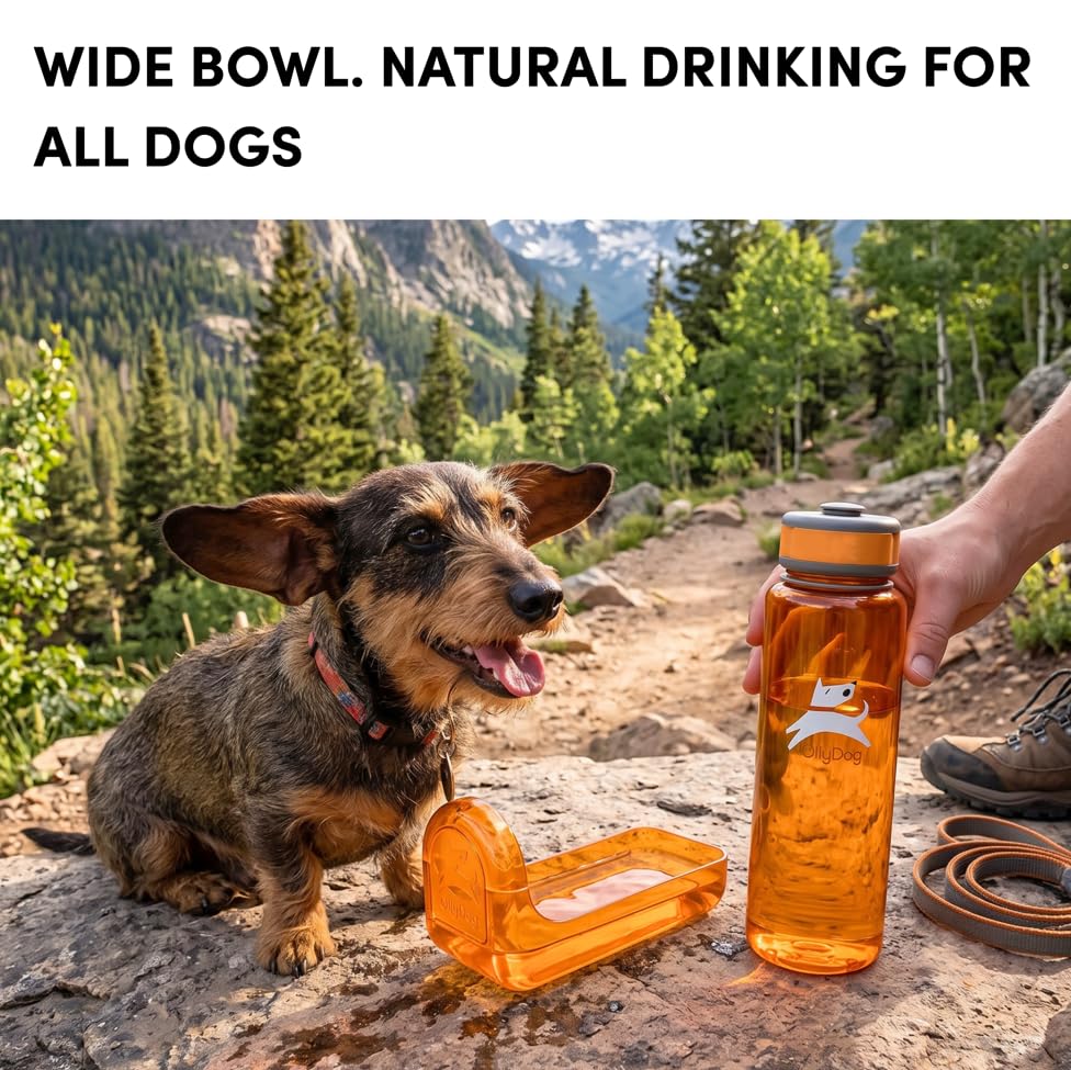 OllyDog OllyBottle | Tritan Dog Water Bottle with Detachable Bowl | BPA Free Leakproof Pet Dispenser | Hiking Travel (1L, Flame) - color: Flame, size: 1L