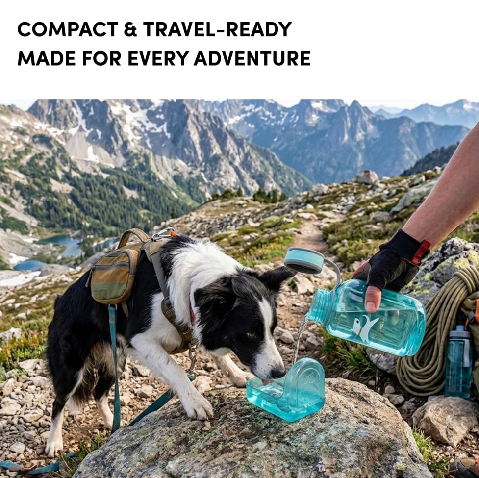 OllyDog OllyBottle Tritan Water Bottle with Detachable Dog Bowl | BPA Free Leakproof | 20oz | Share Water with Your Dog | Hiking Travel Camping (600ML, Aqua Blue) - color: Aqua Blue, size: 600ML