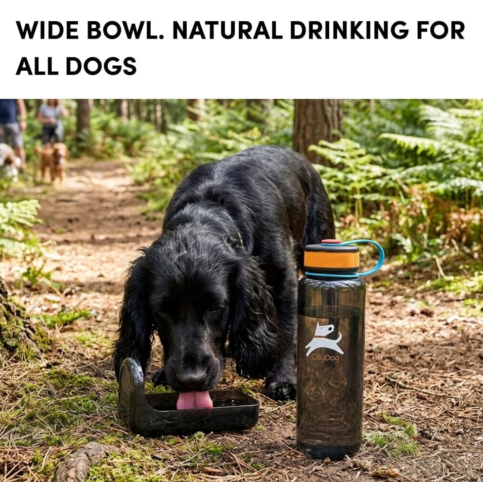 OllyDog OllyBottle Tritan Water Bottle with Detachable Dog Bowl | BPA Free Leakproof | 34oz | Share Water with Your Dog | Hiking Travel Camping (1L, Chromatic) - color: Chromatic, size: 1L