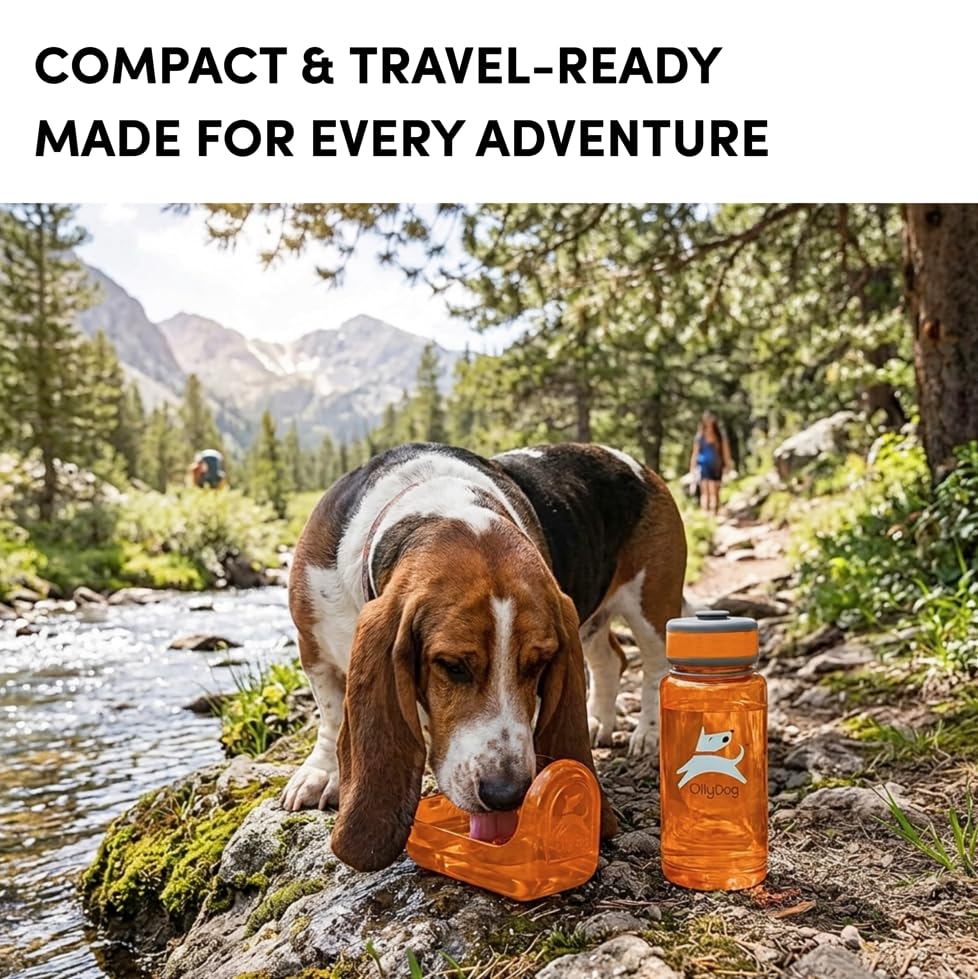 OllyDog OllyBottle, Dog Water Bottle, Pet Water Dispenser with Detachable Bowl, Pet Accessories for Outdoor Walking, Hiking, Travel (600ml, Flame) - color: Flame, size: 600ML
