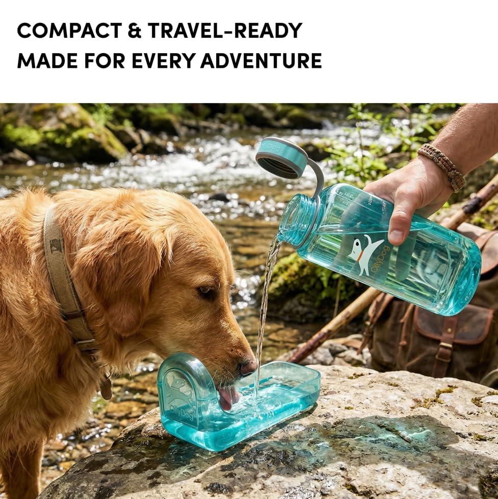 OllyDog OllyBottle Tritan Water Bottle with Detachable Dog Bowl | BPA Free Leakproof | 34oz | Share Water with Your Dog | Hiking Travel Camping (1L, Aqua Blue) - color: Aqua Blue, size: 1L