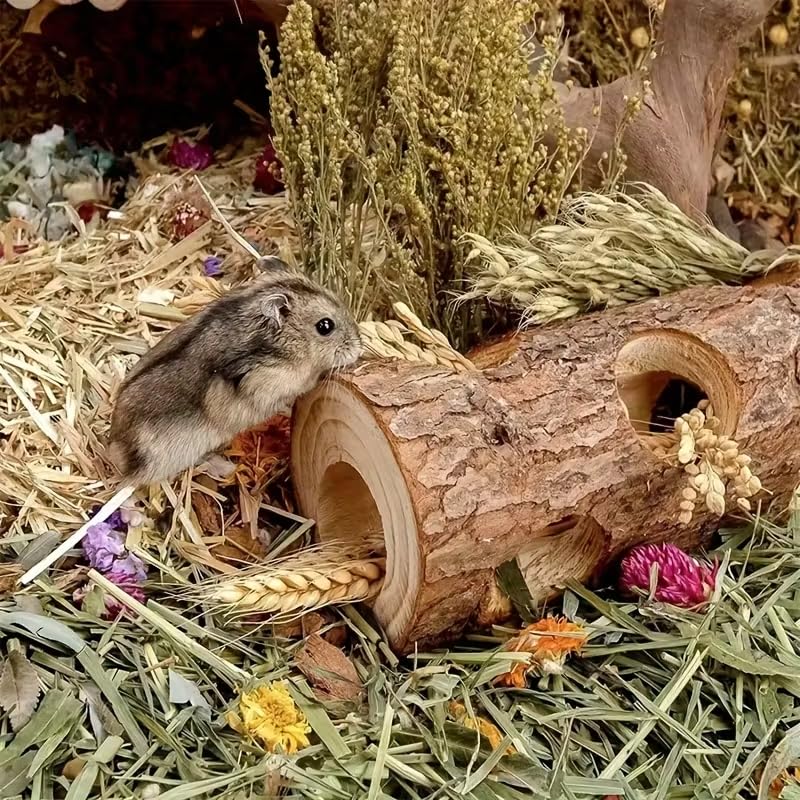 Cozy Cork Log Hideout & Tunnel for Hamsters, Gerbils & Small Pets – Natural Chew Toys, Cage Accessories & Hides,5.91 * 2.36''