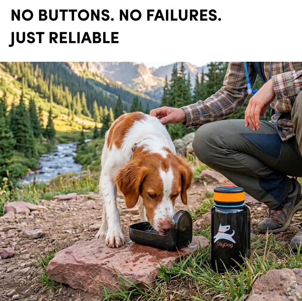 OllyDog OllyBottle Tritan Water Bottle with Detachable Dog Bowl | BPA Free Leakproof | 20oz | Share Water with Your Dog | Hiking Travel Camping (600ML, Chromatic) - color: Chromatic, size: 600ML