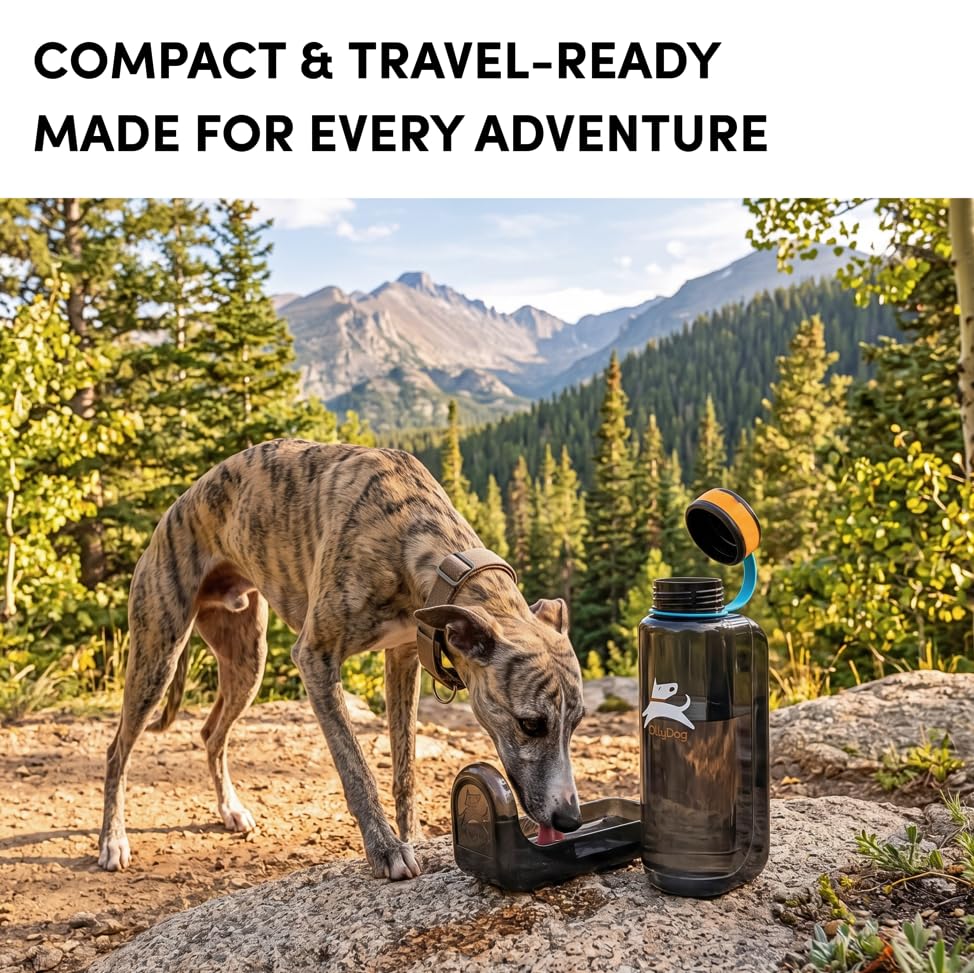OllyDog OllyBottle Tritan Water Bottle with Detachable Dog Bowl | BPA Free Leakproof | 34oz | Share Water with Your Dog | Hiking Travel Camping (1L, Chromatic) - color: Chromatic, size: 1L