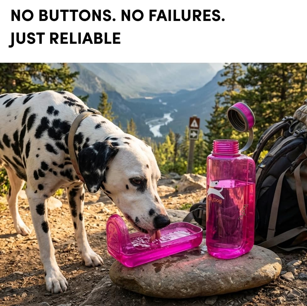 OllyDog OllyBottle Tritan Water Bottle with Detachable Dog Bowl | BPA Free Leakproof | 34oz | Share Water with Your Dog | Hiking Travel Camping (1L, Hot Pink) - color: Hot Pink, size: 1L