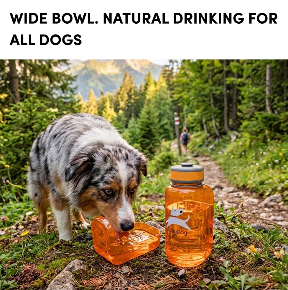 OllyDog OllyBottle, Dog Water Bottle, Pet Water Dispenser with Detachable Bowl, Pet Accessories for Outdoor Walking, Hiking, Travel (600ml, Flame) - color: Flame, size: 600ML